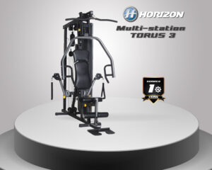 Horizon Multi-station TORUS 3