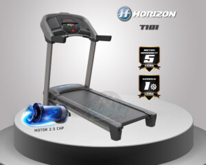 Horizon T101 Treadmill