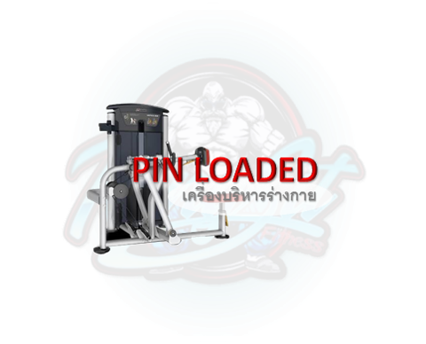 pin-loaded